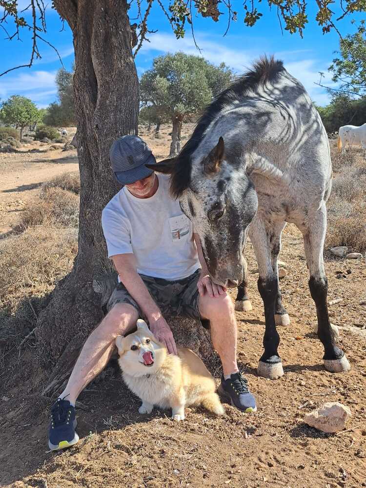 Неожиданная встреча