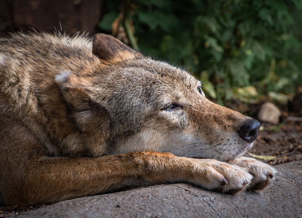 Photograph by Сергей Басов