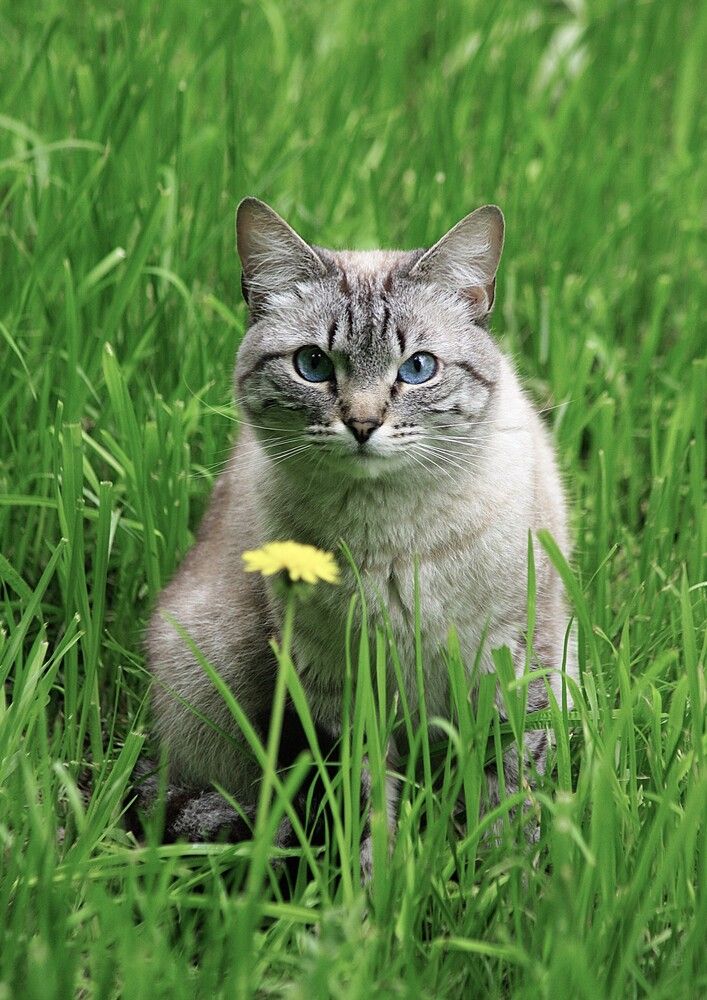 Photograph by Михаил Обертаев