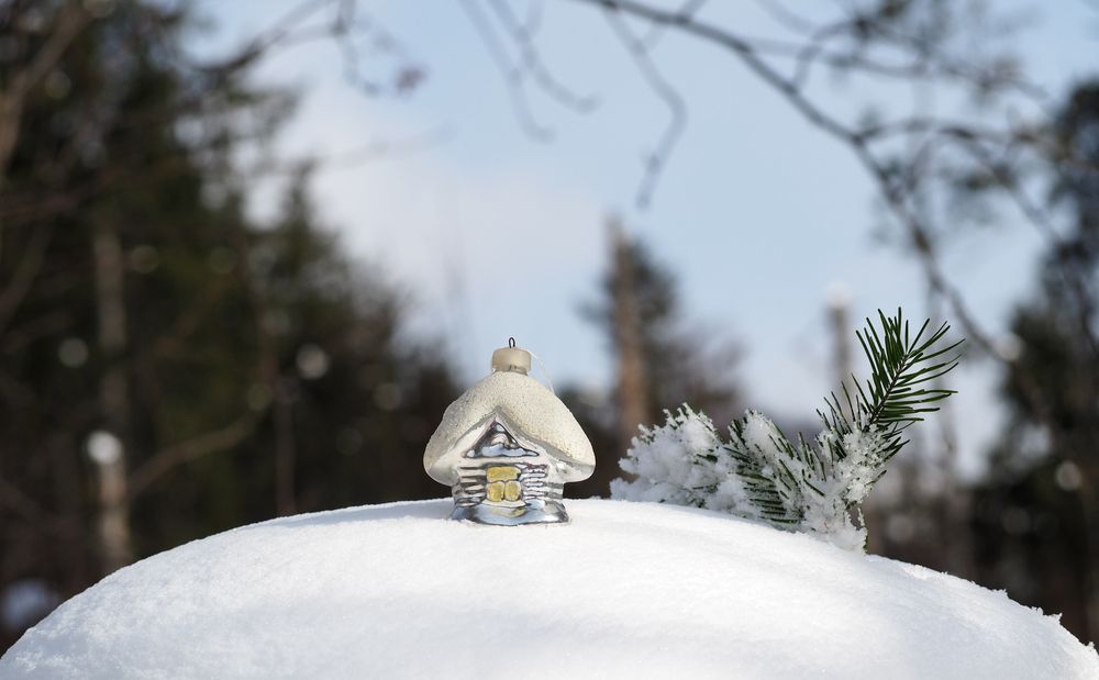 Фотография автора Olena Vorotyntseva