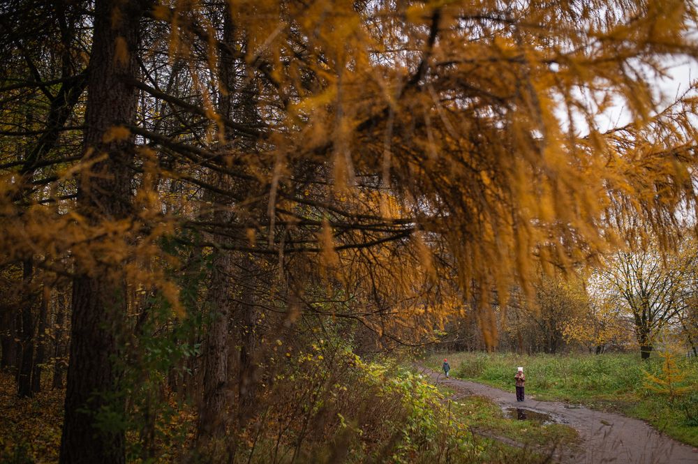 Photograph by Maria Krylova