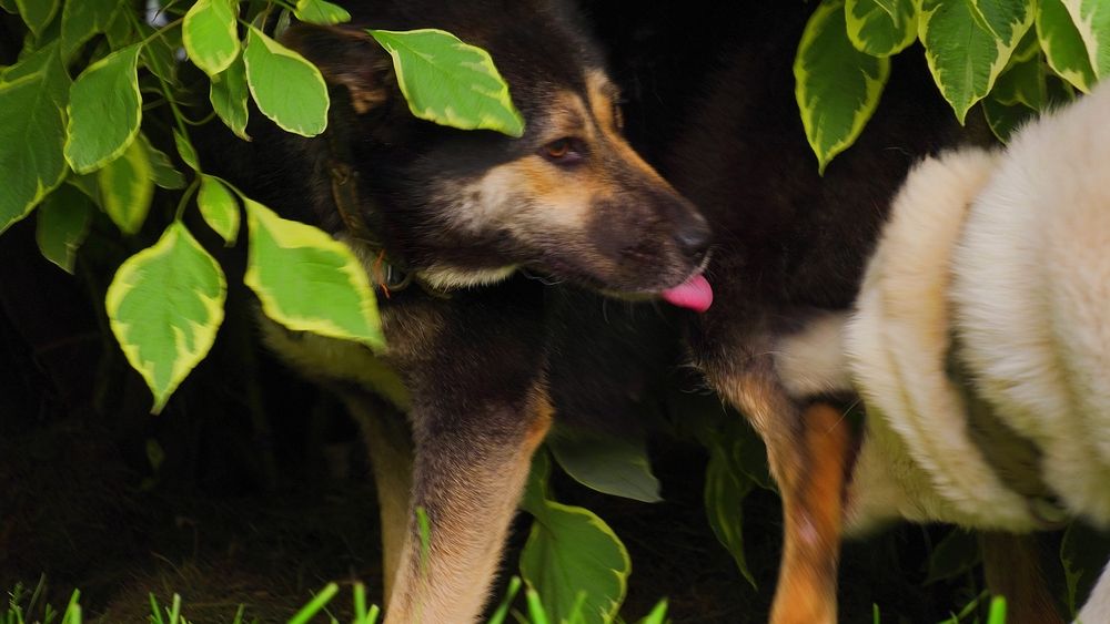 Photograph by Александр Климов