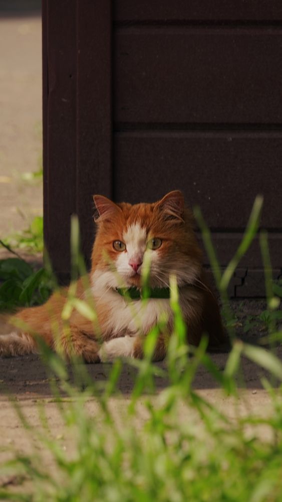 Photograph by Александр Климов