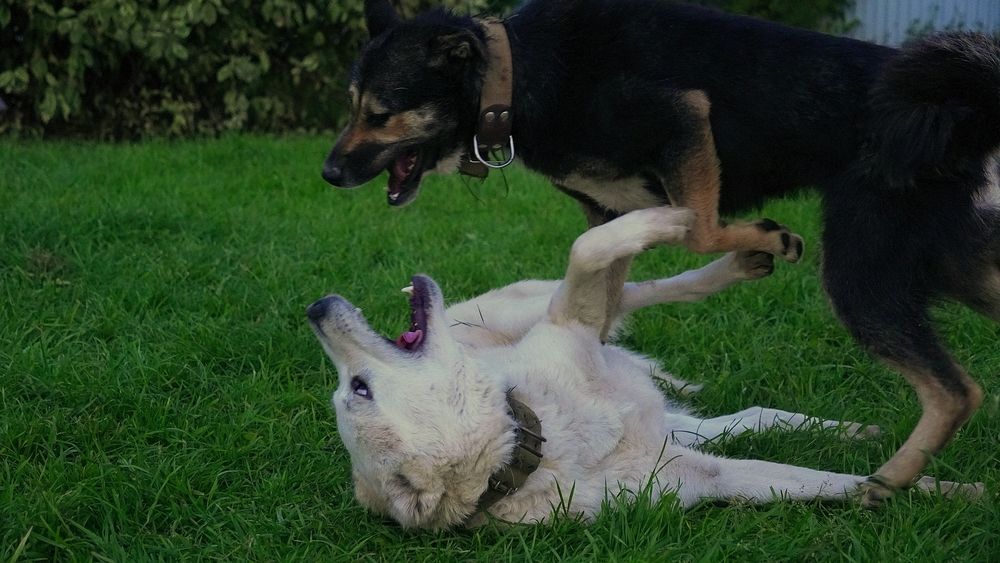 Photograph by Александр Климов