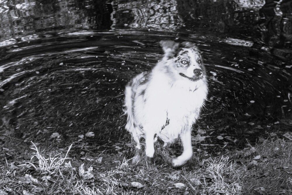 Photograph by Наталия Козлова