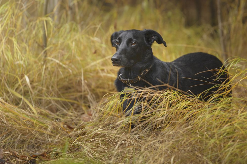 Photograph by Максим Вышарь