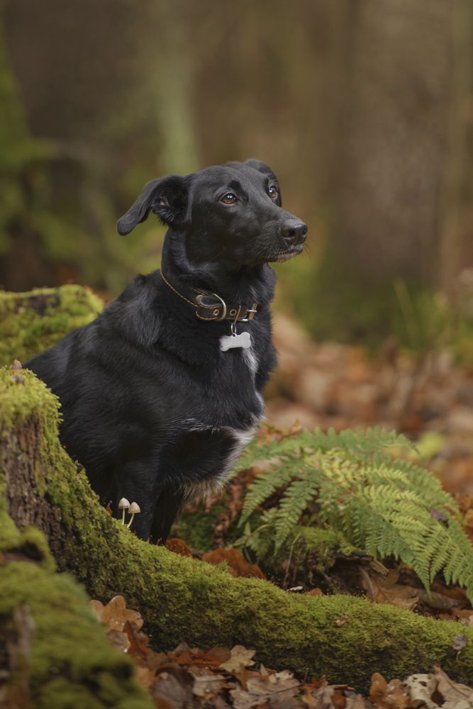 Photograph by Максим Вышарь