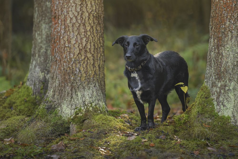 Photograph by Максим Вышарь
