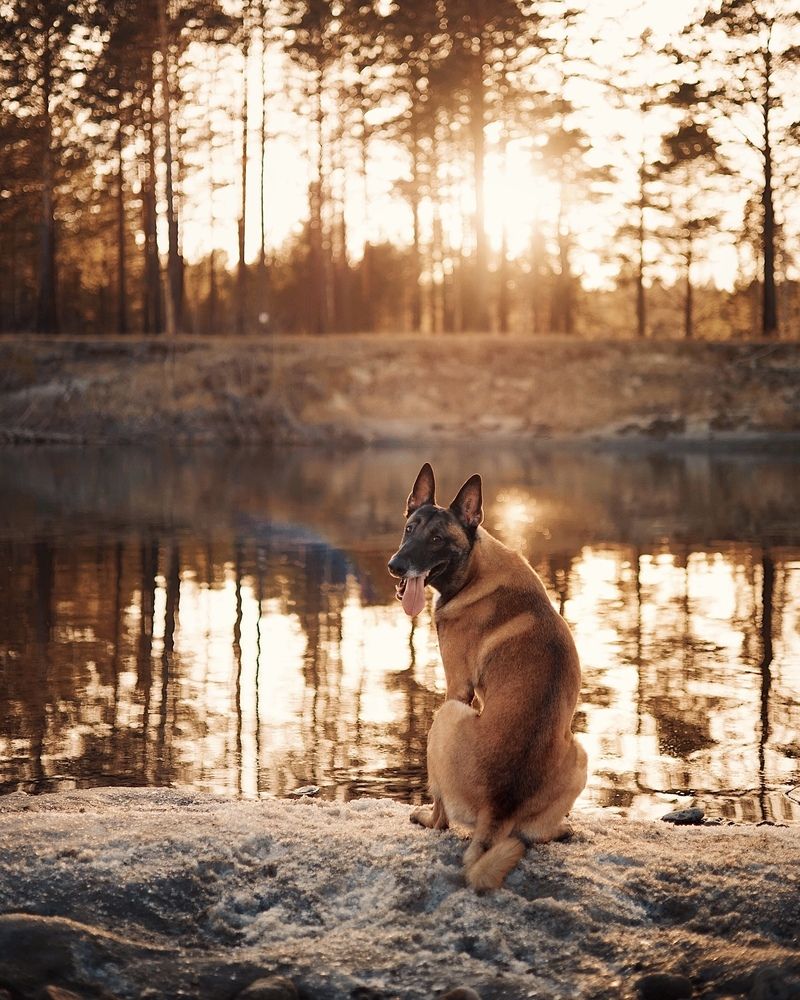 Photograph by Маргарита Шалак