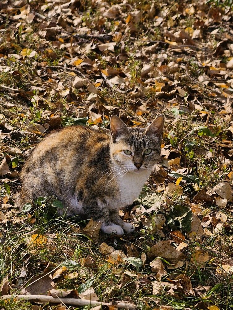 Photograph by Галина Бессуднова