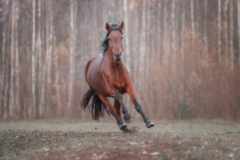 Photograph by Зубкова Юлия