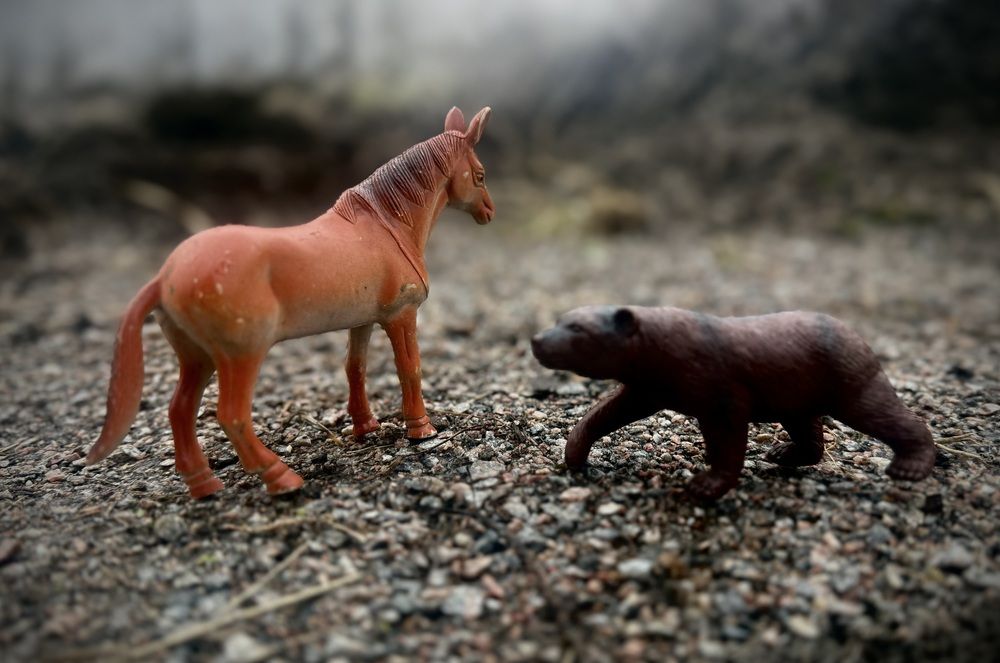 Photograph by Марина Козлова