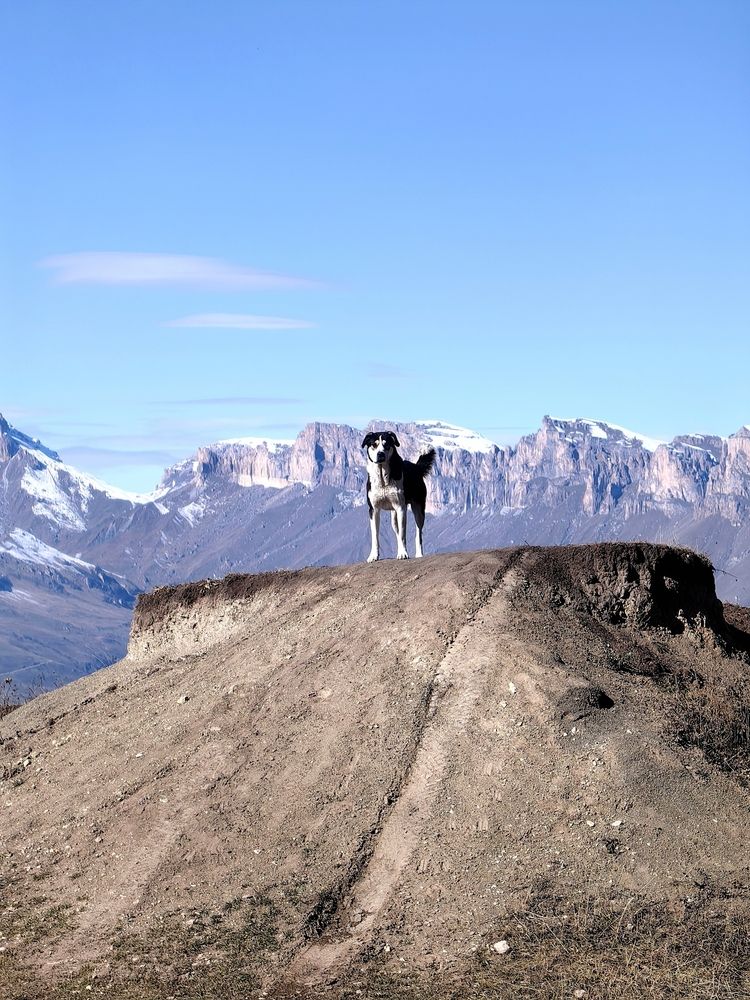 Photograph by OLGA MIKHNEVICH