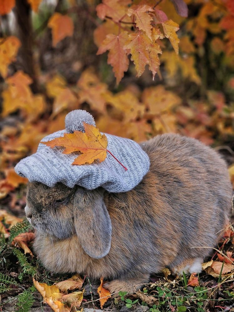 Photograph by Ольга Захарикова