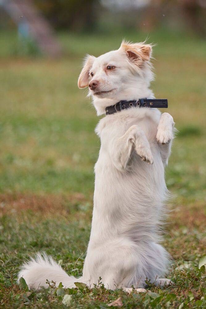 Photograph by Евгений Соседков