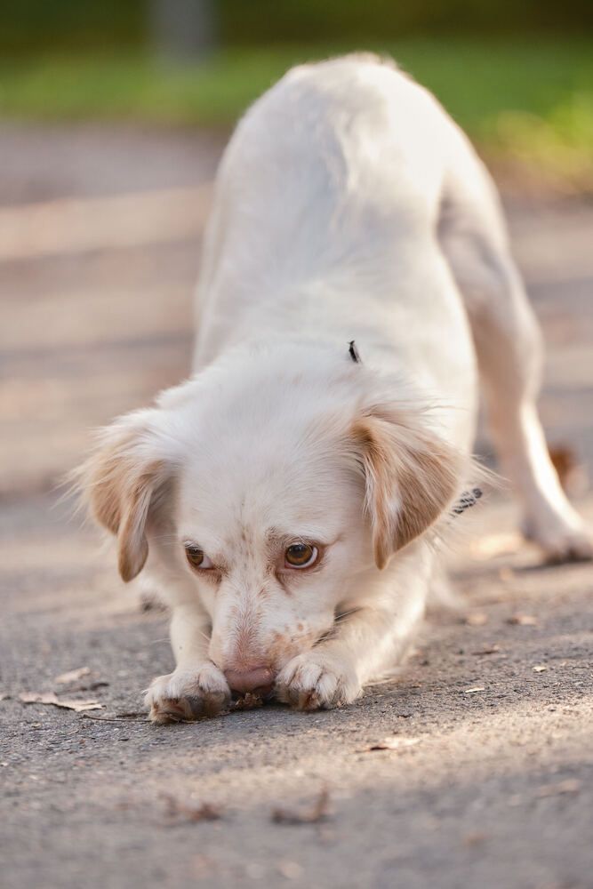 Photograph by Евгений Соседков