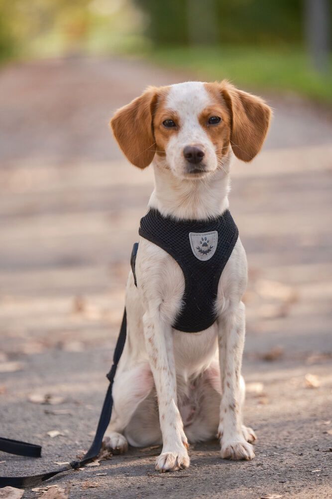 Photograph by Евгений Соседков