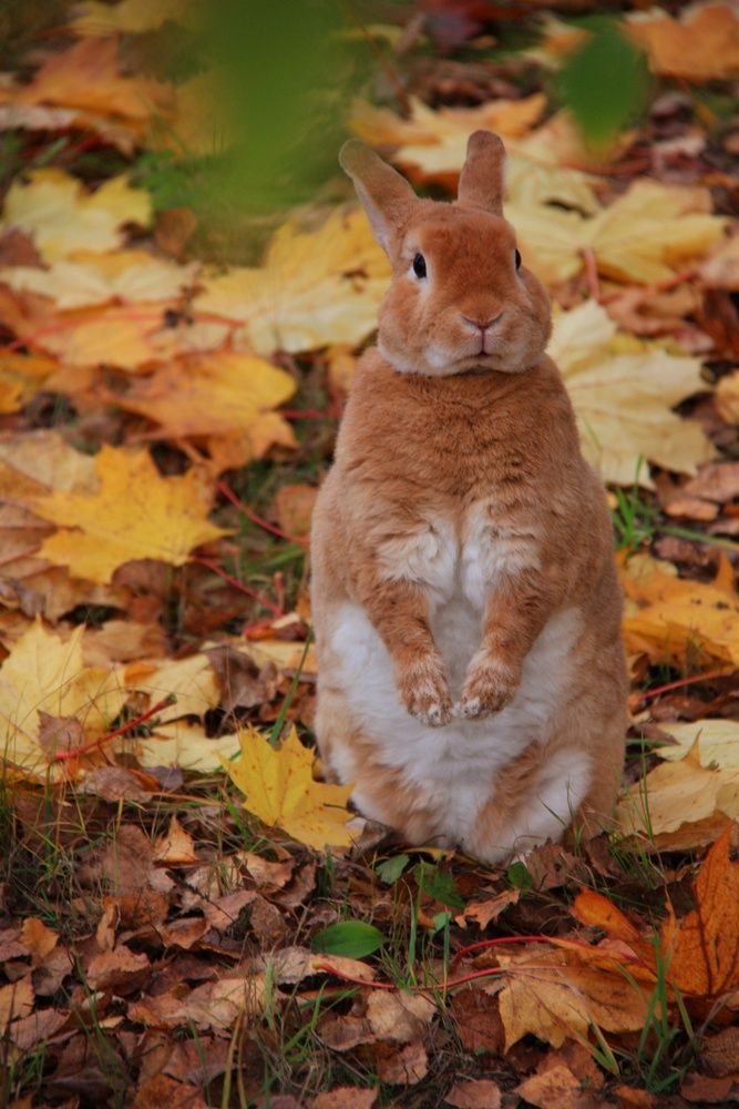 Photograph by Ольга Захарикова