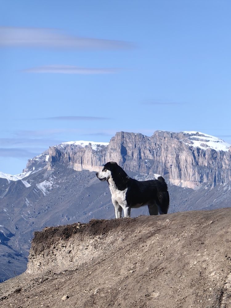 Photograph by OLGA MIKHNEVICH