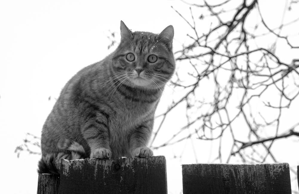 Photograph by Igors Rostikovs