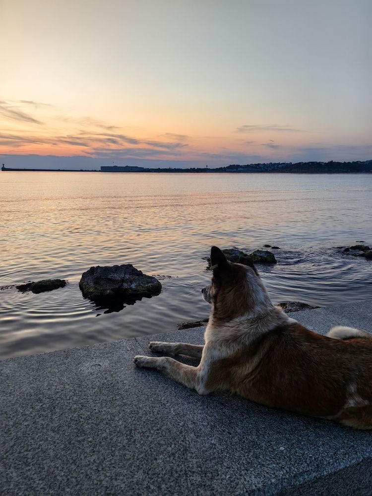 Photograph by OLGA MIKHNEVICH