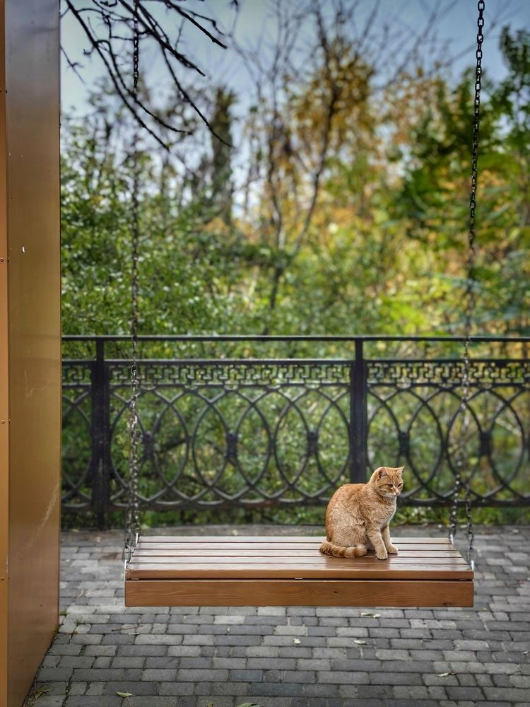 Photograph by OLGA MIKHNEVICH