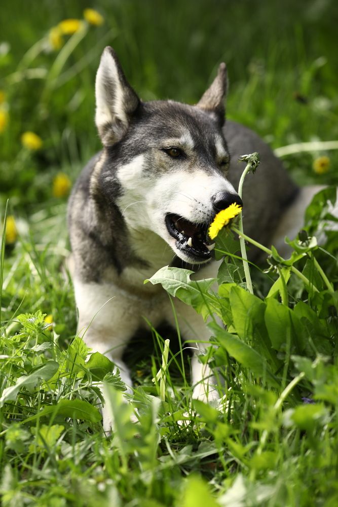 Photograph by Елена Одынец