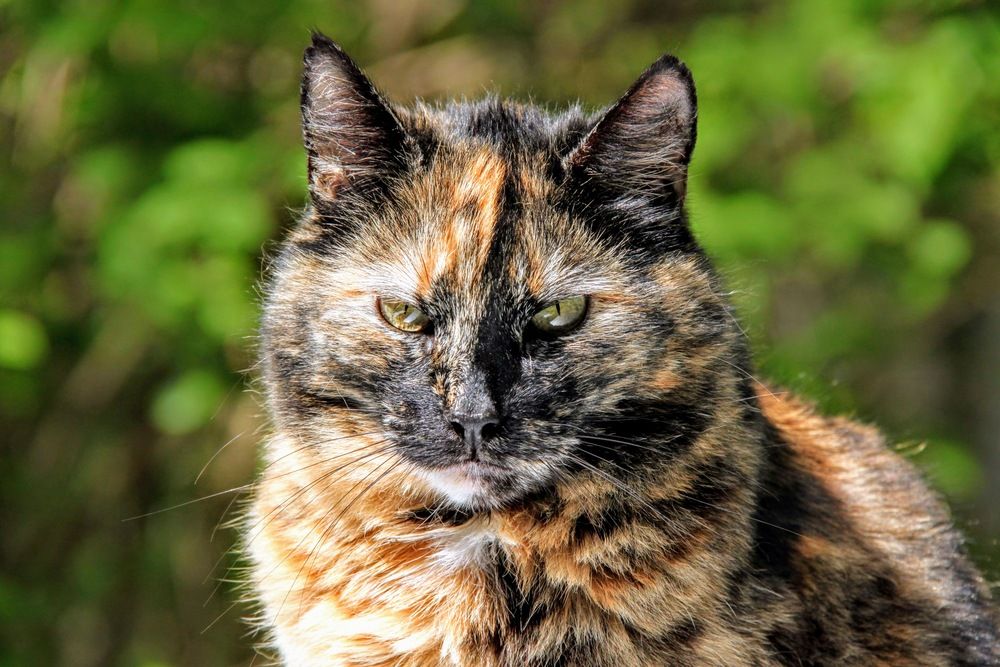 Photograph by Igors Rostikovs