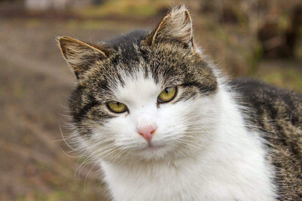 Photograph by Igors Rostikovs