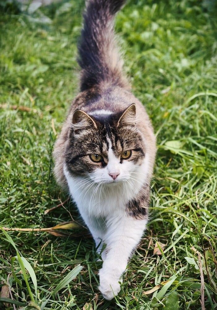 Photograph by Галина Бессуднова