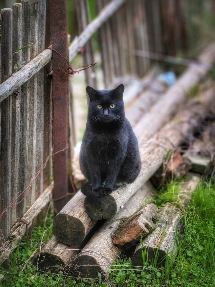 Photograph by OLGA MIKHNEVICH