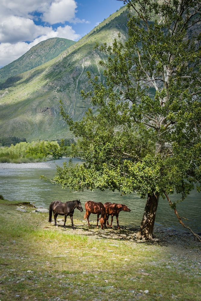 Photograph by Алексей Козлов