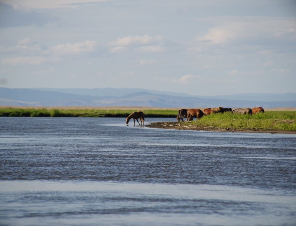 Photograph by Андрей Корытов