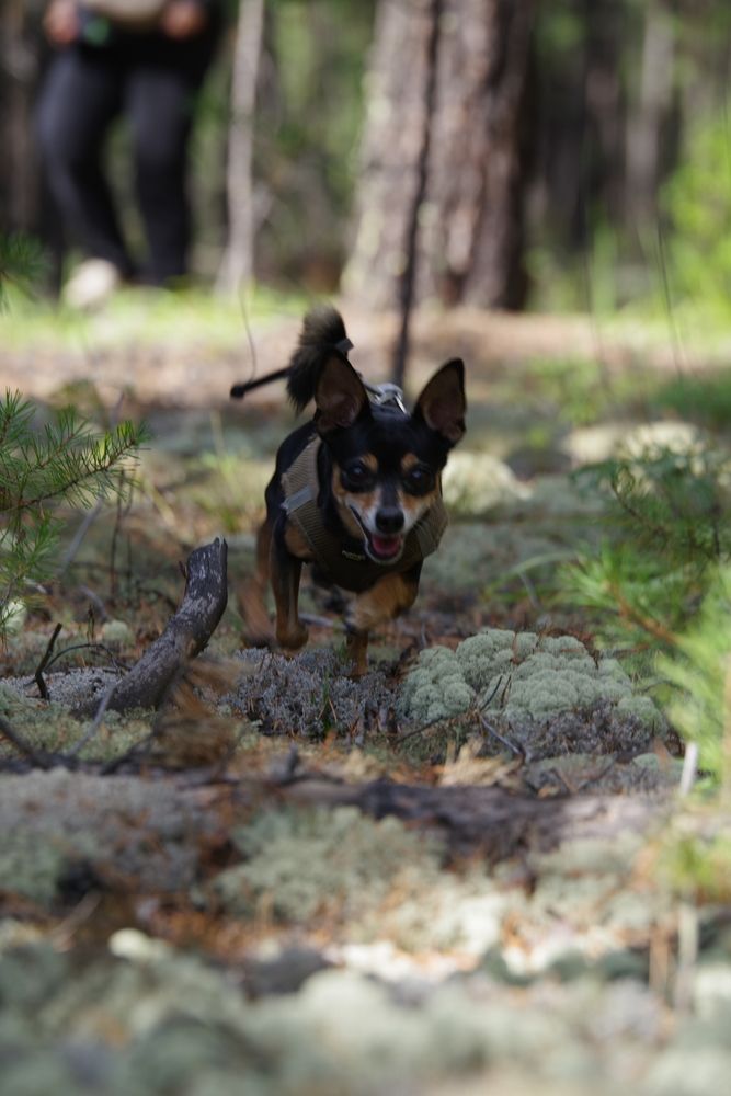 Photograph by Андрей Корытов