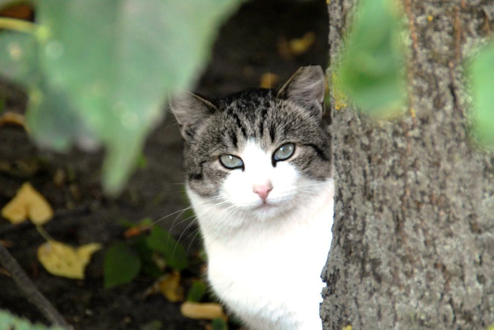 Photograph by Igors Rostikovs