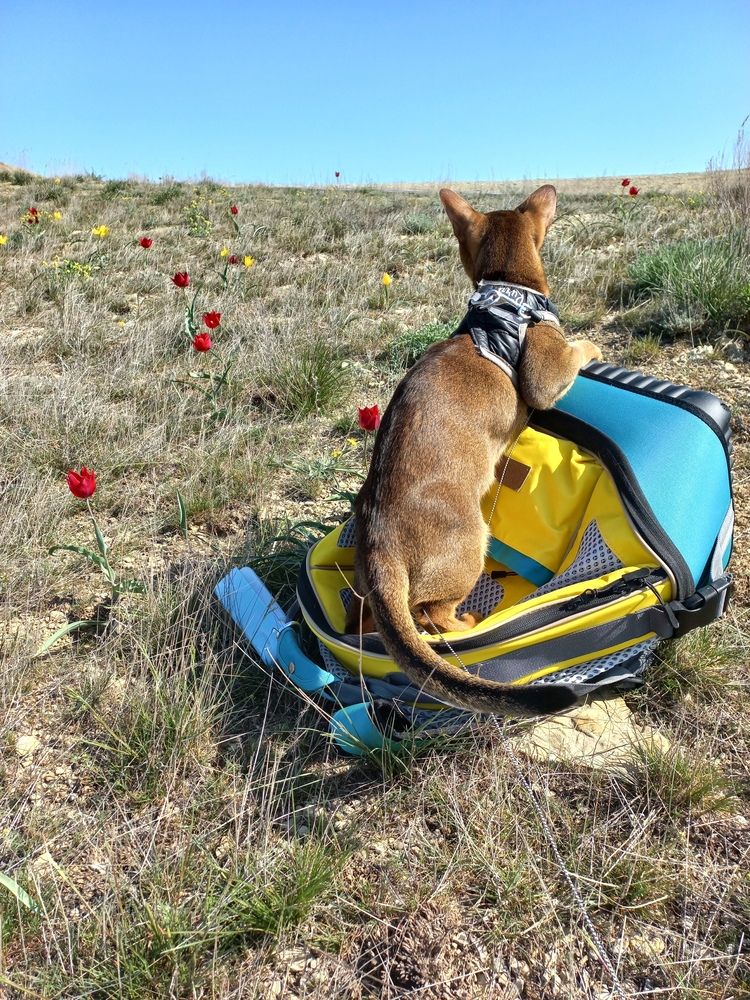 Photograph by OLGA MIKHNEVICH