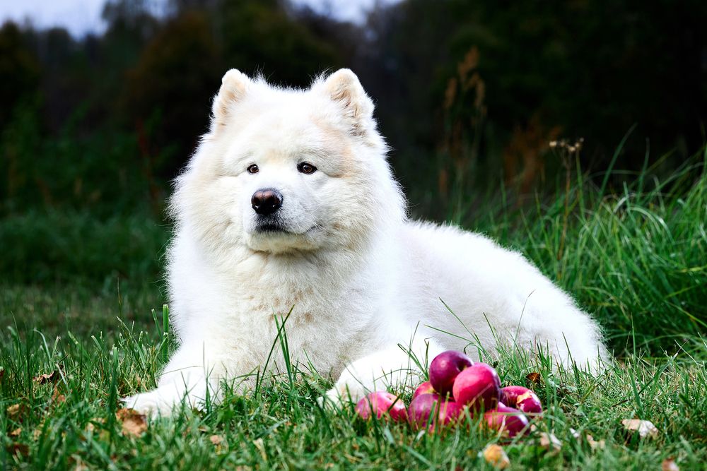 Photograph by Андрей Шаленков