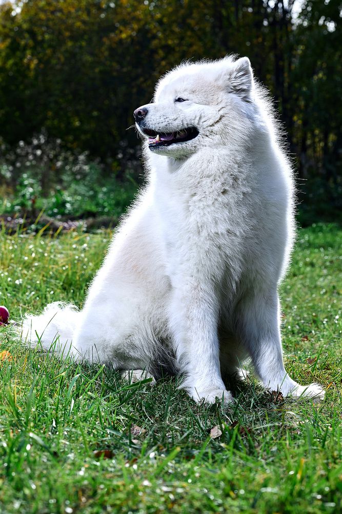 Photograph by Андрей Шаленков