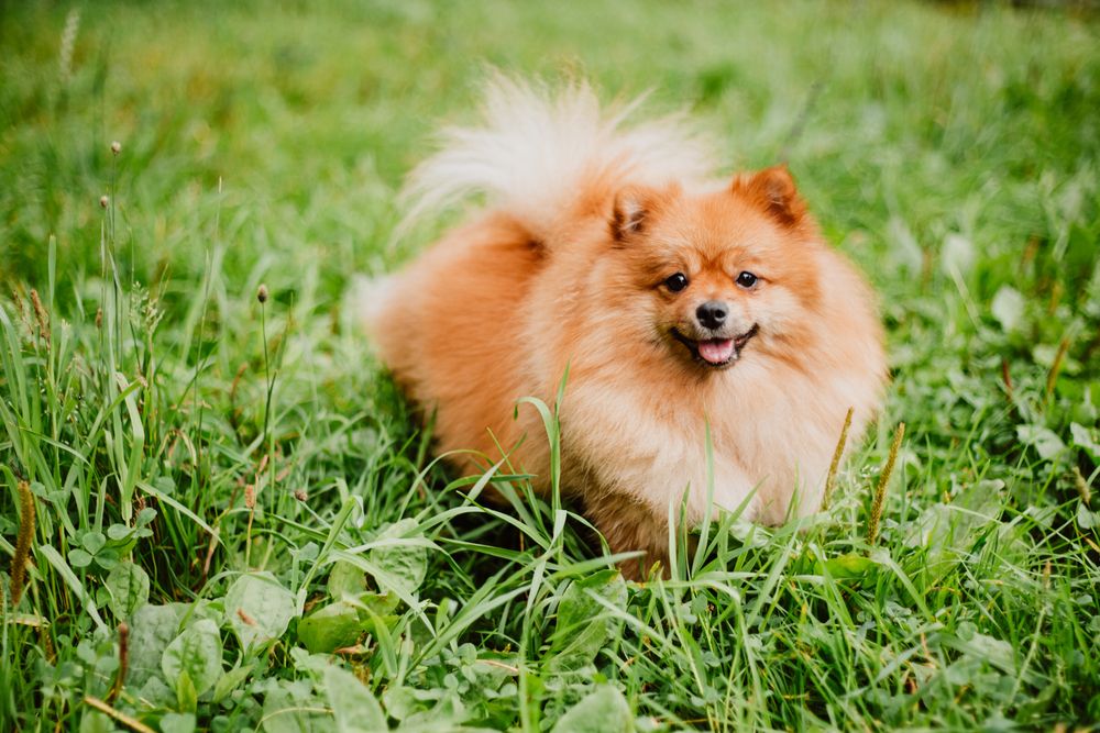 Photograph by Марина Морева