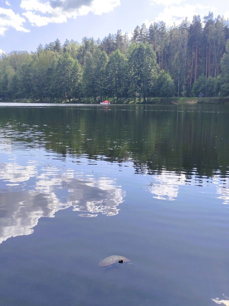 Photograph by Галина Бессуднова