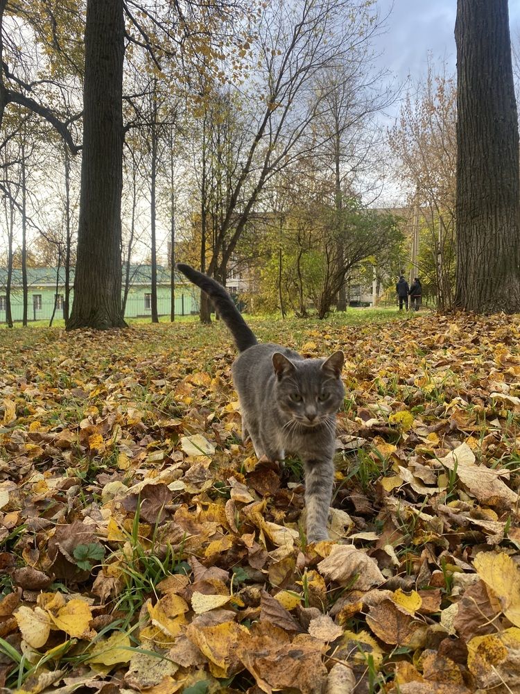 Photograph by Игорь Ребров