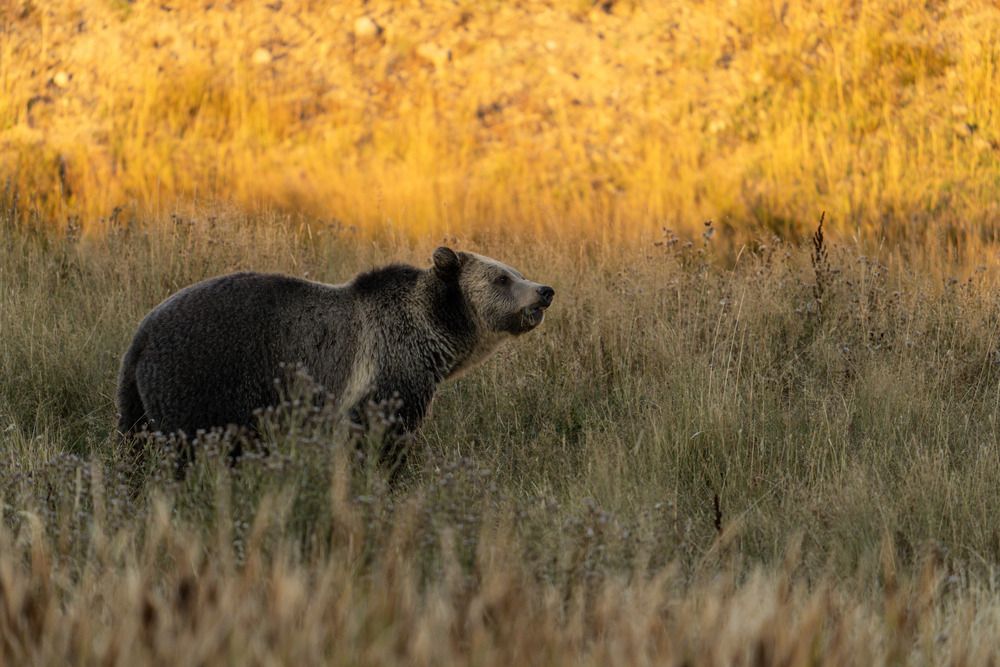 Photograph by Athul Konikkara