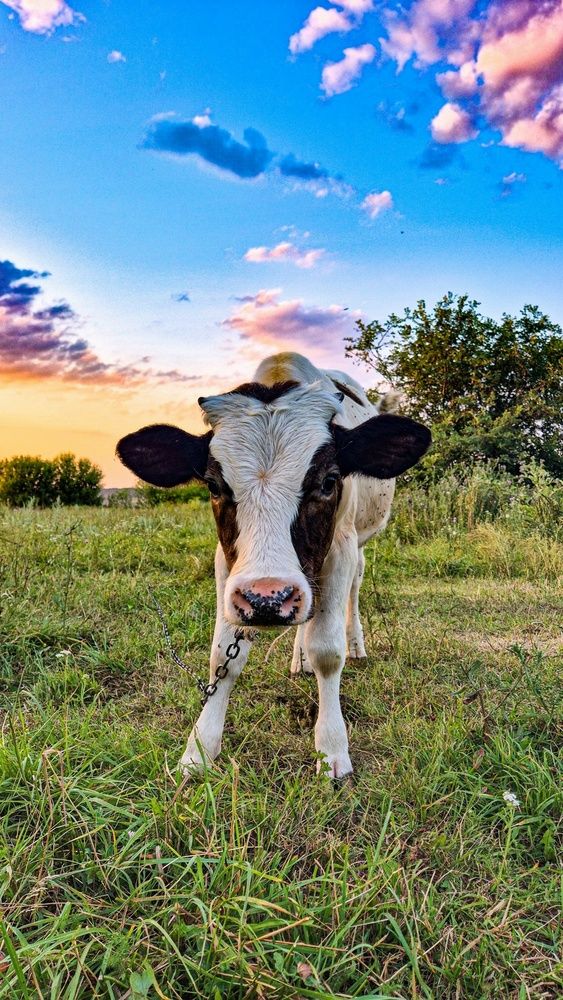 Photograph by Наталья Николаевна