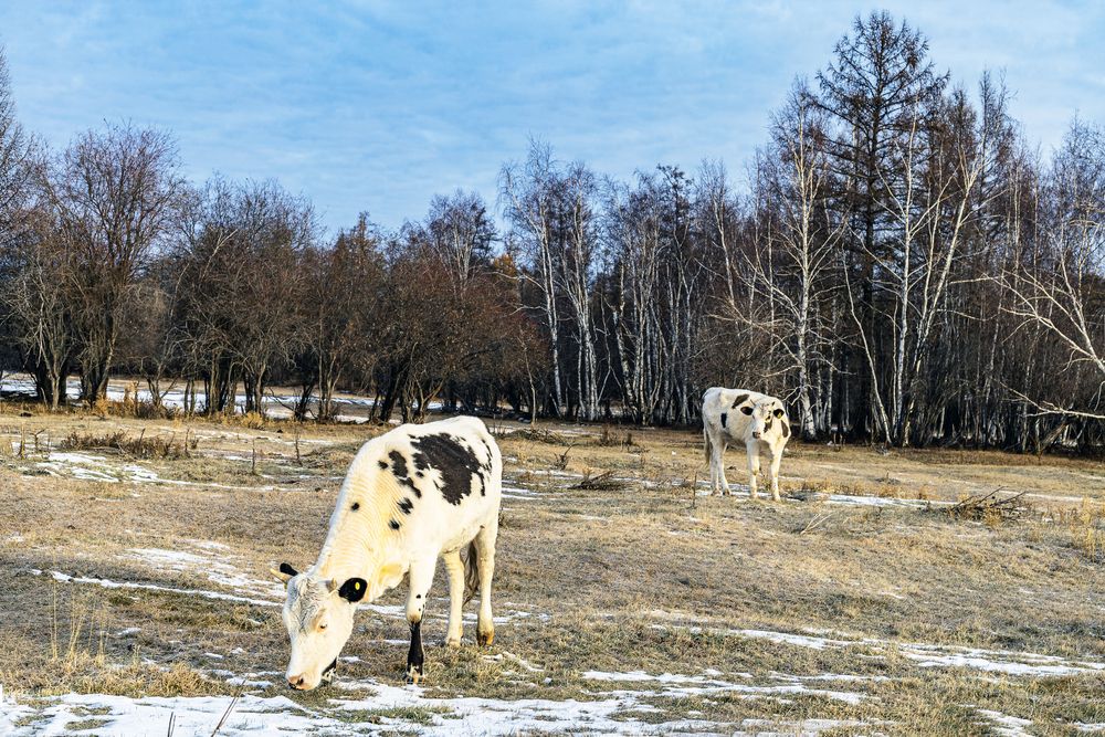 Поздней осенью.
