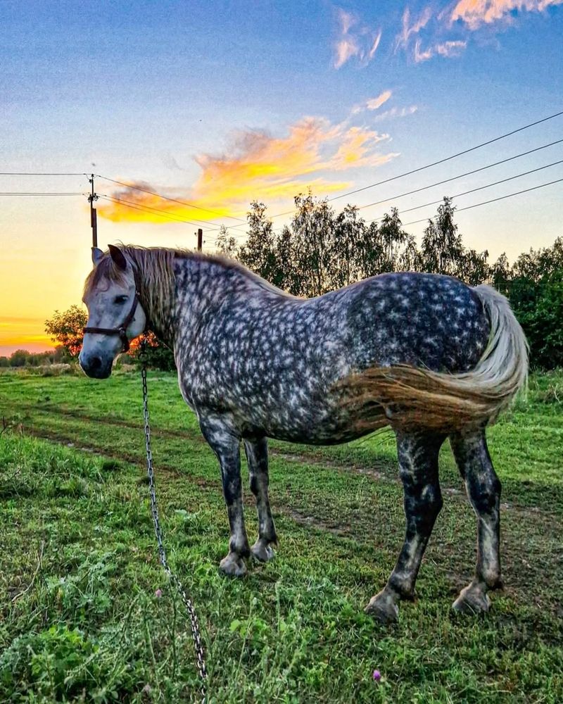 Photograph by Наталья Николаевна