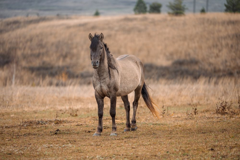 Photograph by Ильдар Валитов