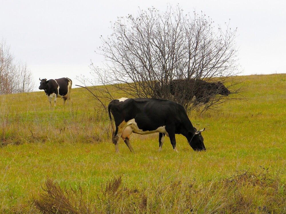 Пасмурным осенним днем