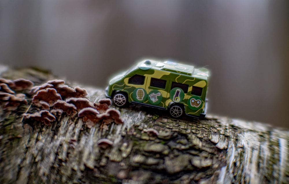 Photograph by Николай Нестеренко