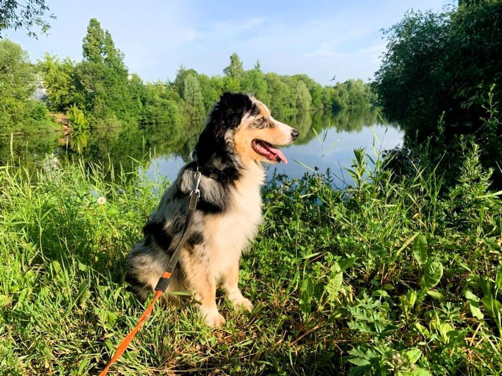 Photograph by Светлана Парамонова