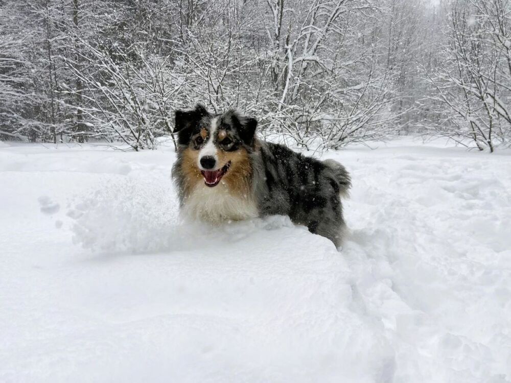 Photograph by Светлана Парамонова